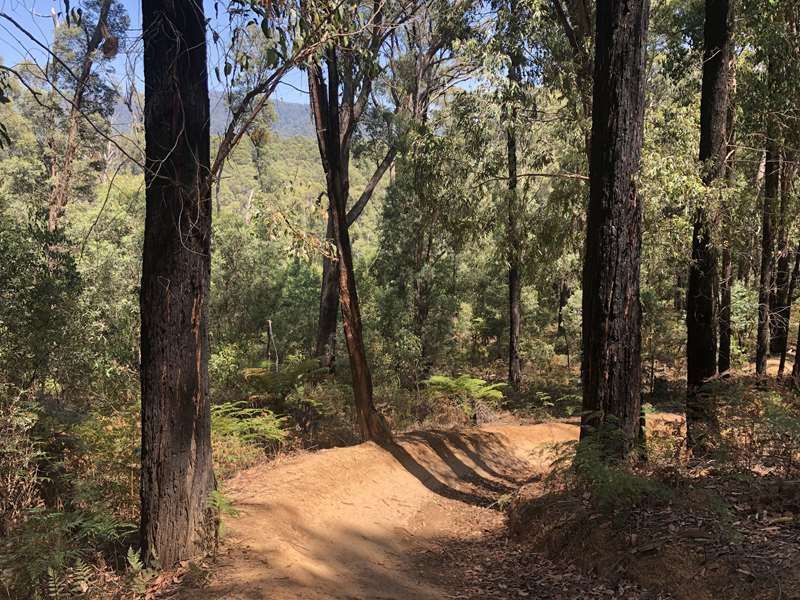 Buxton Mountain Bike Park