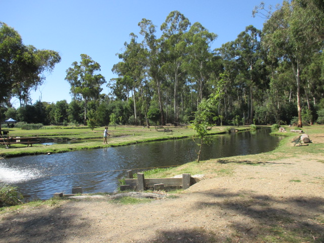 Buxton Trout and Salmon Farm