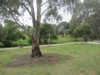 C.L. Cruickshank Park Dog Off Leash Area (Yarraville)