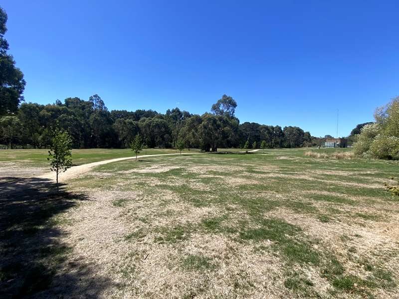 Caledonian Park Dog Off Leash Area (Ballan)