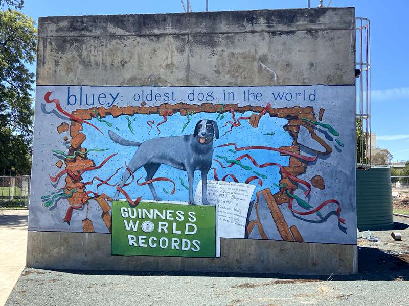Campaspe Shire Street and Public Art