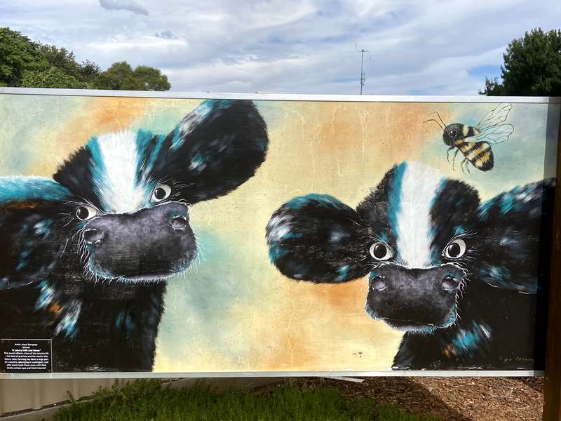 Campaspe Shire Street and Public Art