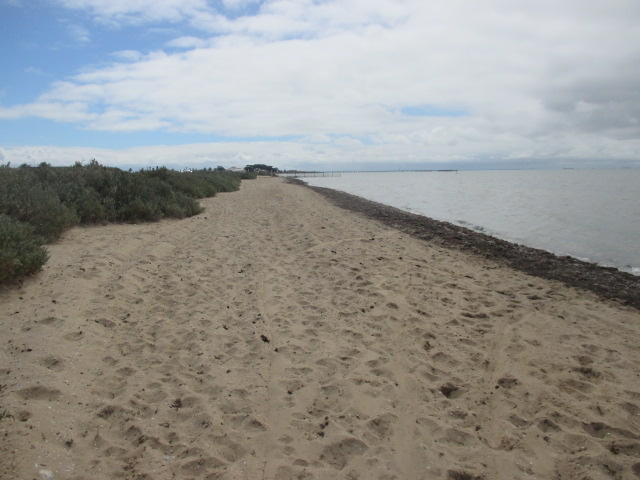 Campbell's Cove Dog Beach