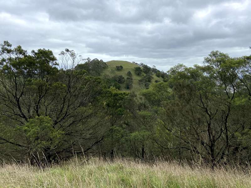 Camperdown - Mount Leura & Mount Sugarloaf Reserves Walking Trails