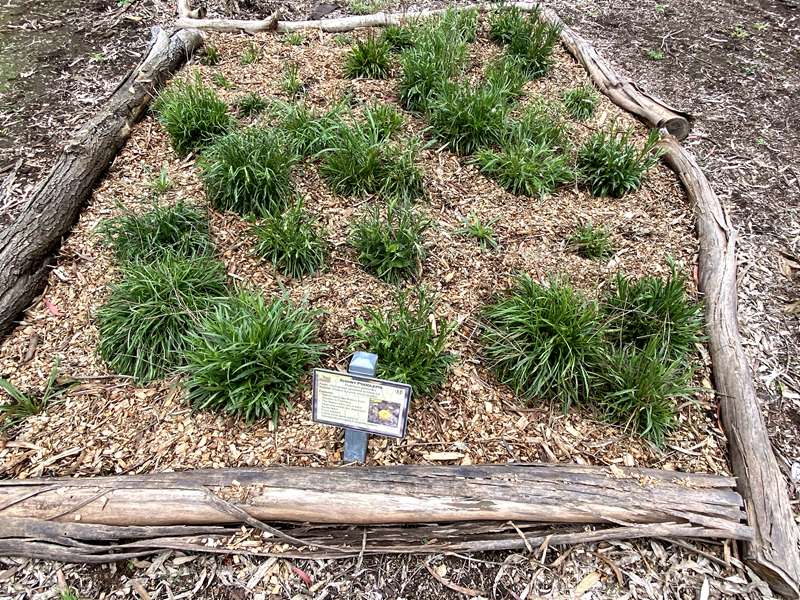 Camperdown - Mount Leura & Mount Sugarloaf Reserves Walking Trails