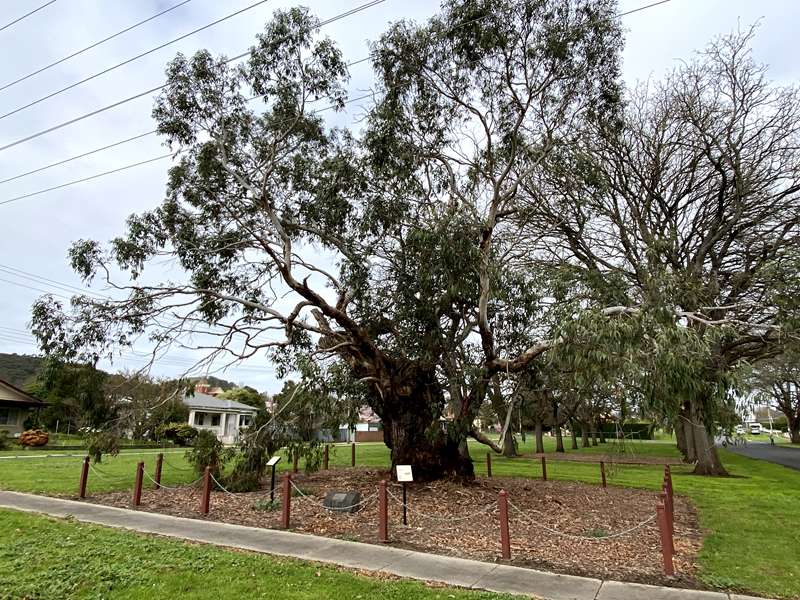 Camperdown Heritage Signs Trail