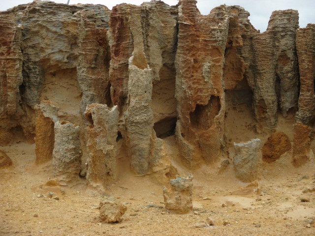 Cape Bridgewater - Petrified Forest and Blowholes