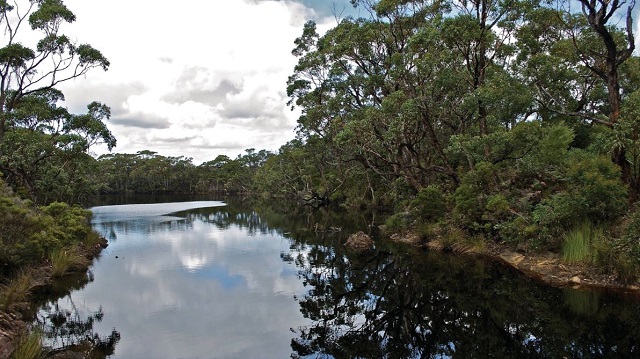 Cape Conran Coastal Park