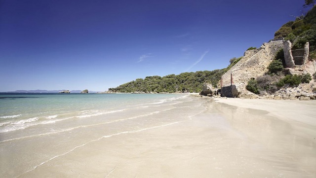 Cape Liptrap Coastal Park (Walkerville) 