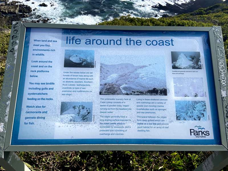 Cape Liptrap Lighthouse (Tarwin Lower)