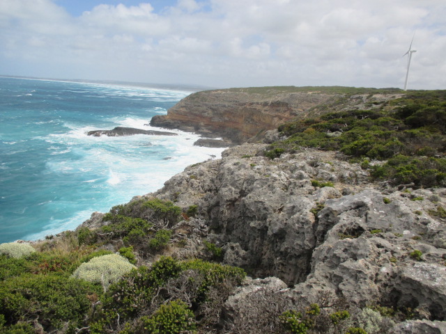 Sea Cliff Nature Walk, Cape Nelson