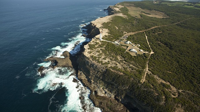 Portland - Cape Nelson State Park