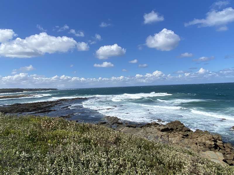 Cape Paterson Foreshore Walk