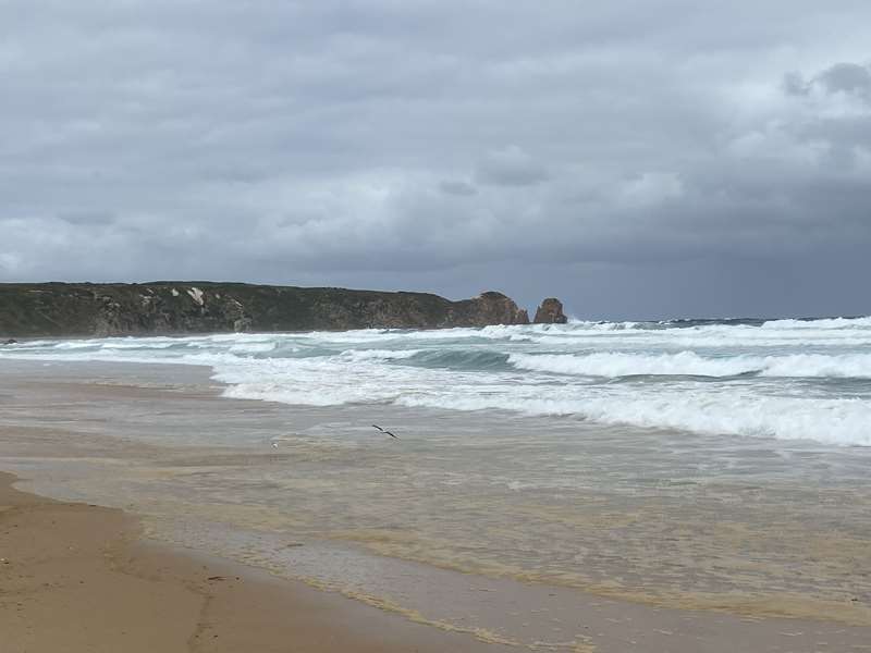 Cape Woolamai Walks (Phillip Island)