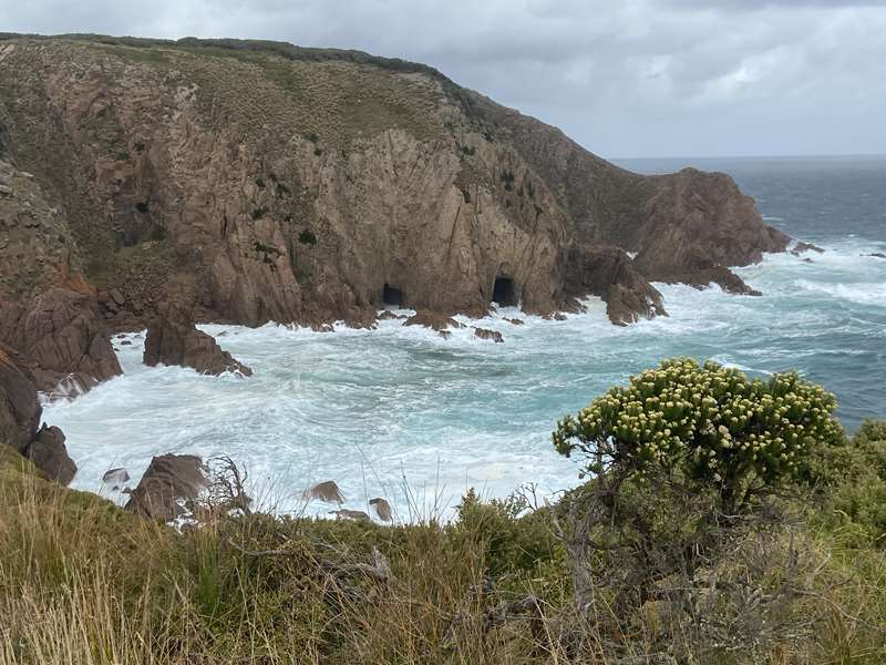 Cape Woolamai Walks (Phillip Island)