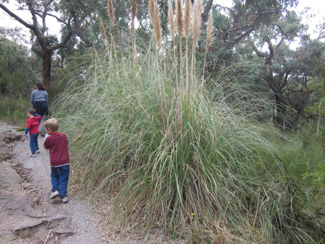 Cardinia Reservoir Park (Narre Warren East)