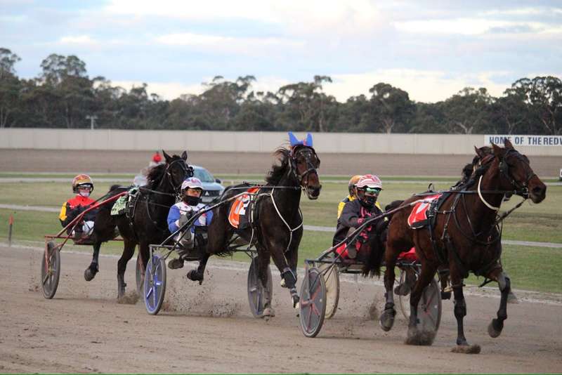 Carisbrook - Maryborough Harness Racing Club