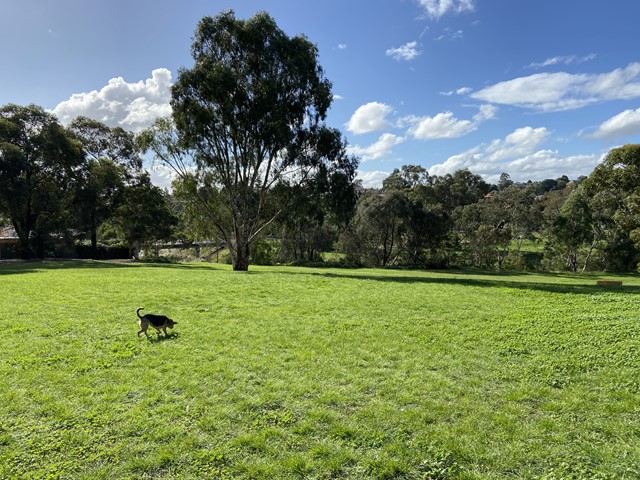 Carrick Reserve Dog Off Leash Area (Gladstone Park)