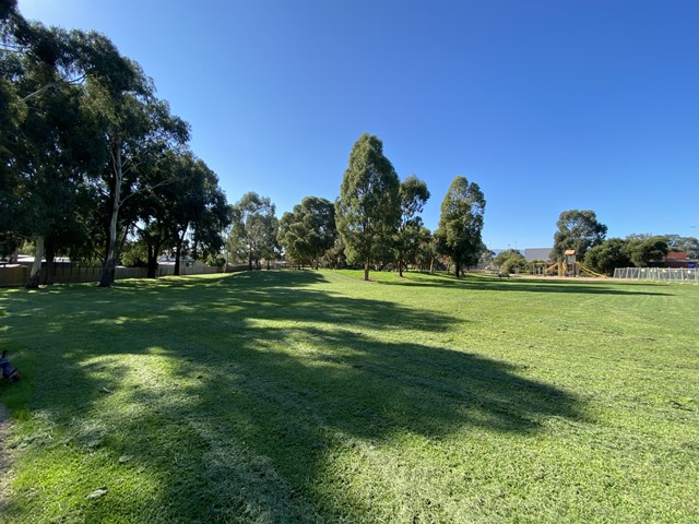 Carrington Park Dog Off Leash Area (Knoxfield)