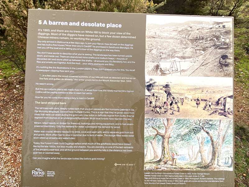 Castlemaine - Forest Creek Gold Diggings