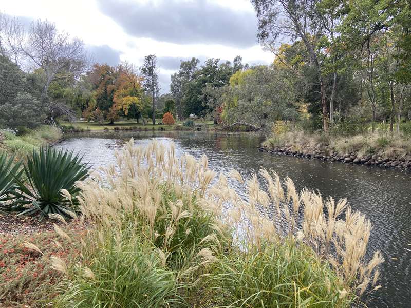 Castlemaine Botanical Gardens