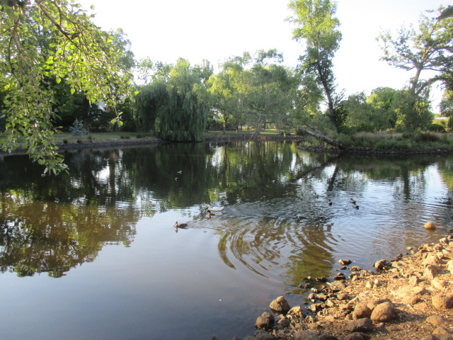 Castlemaine Botanical Gardens