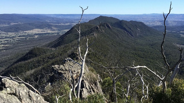 Taggerty - Cathedral Range State Park