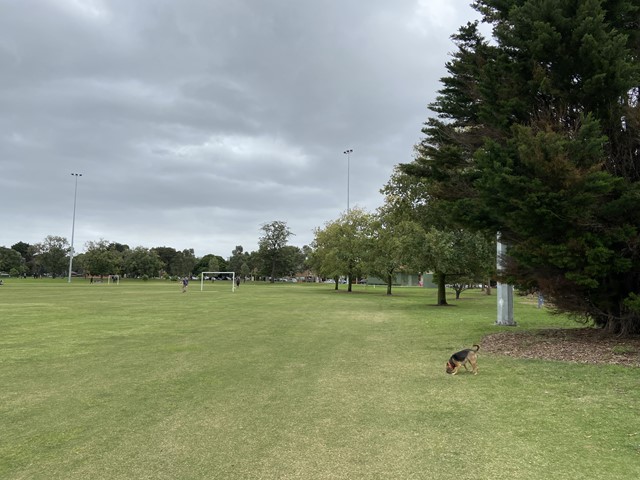 Caulfield Park Dog Off Leash Area (Caulfield North)