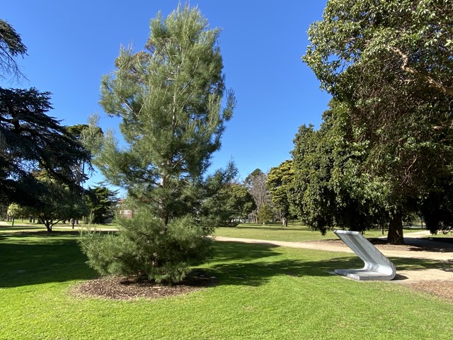 Caulfield Park Short Walks (Caulfield North)