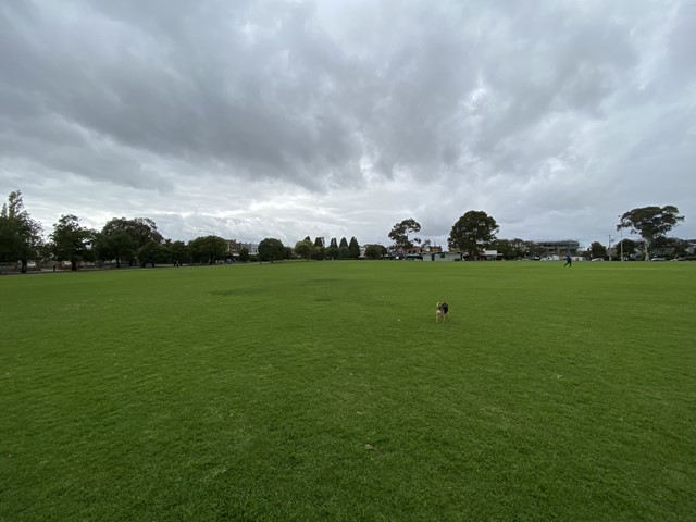 Central Park Dog Off Leash Area (Malvern East)