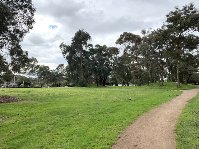 Charles Allen Reserve Dog Off Leash Area (Croydon)