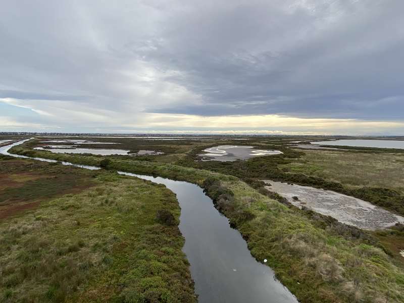 Cheetham Wetlands Tower Walk (Point Cook)