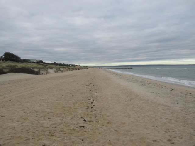 Chelsea Beach Dog Off Leash Area (Chelsea)