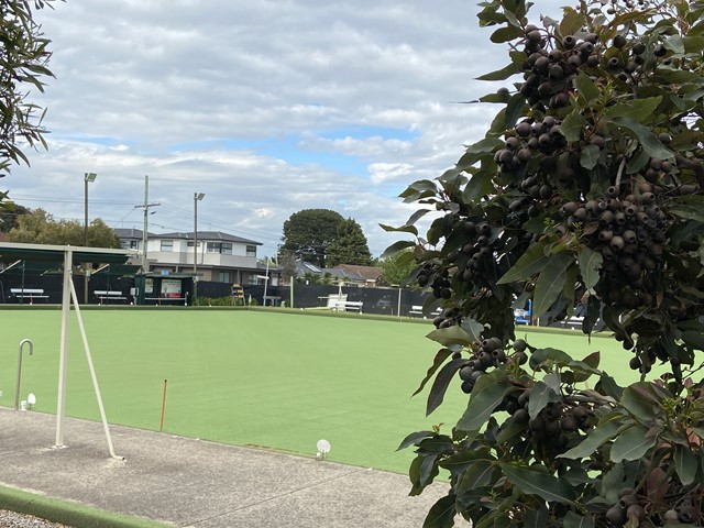 Chelsea Bowling Club