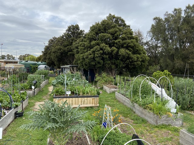 Chelsea Heights Community Garden