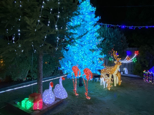 The Best Christmas Lights around Melbourne