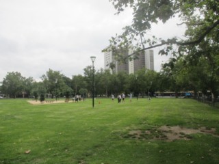 Clayton Reserve Fenced Dog Park (North Melbourne)