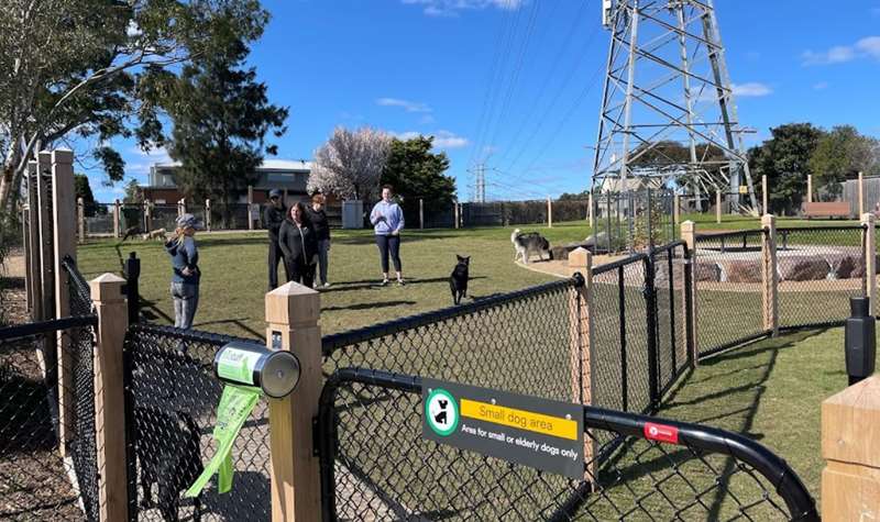 Your Dog's Dream! Unleash the Fun at a Fenced-in Dog Park Near Me.