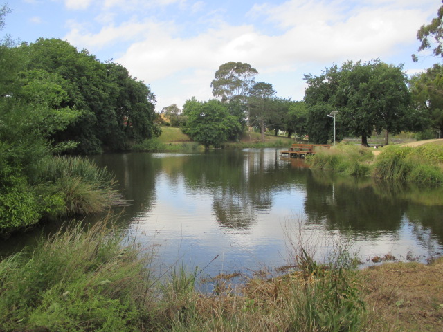 Cobden Creek Walking Track