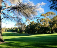 Cobram Barooga Golf Course (Barooga)