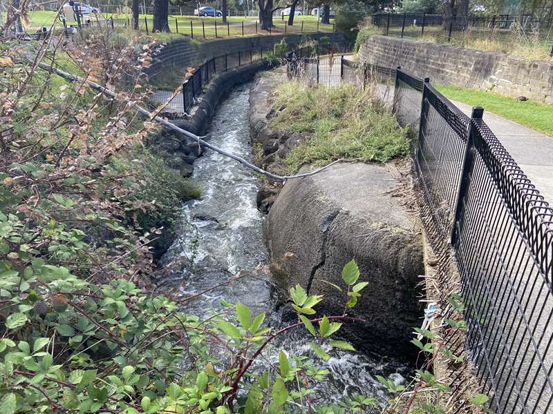 Coburg Lake Reserve (Coburg North)