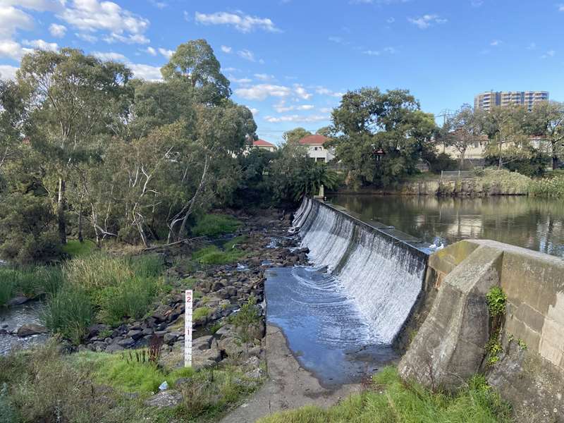 Coburg Lake Reserve (Coburg North)