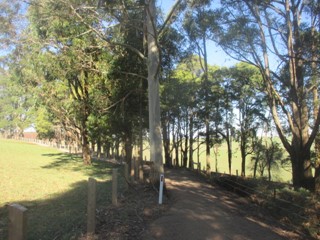 Cockatoo - Gembrook Multi-Use Trail