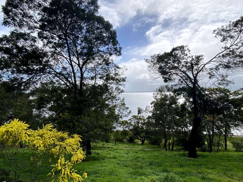 Lake Colac