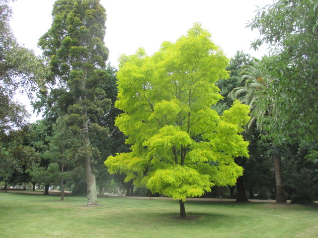 Colac Botanic Gardens