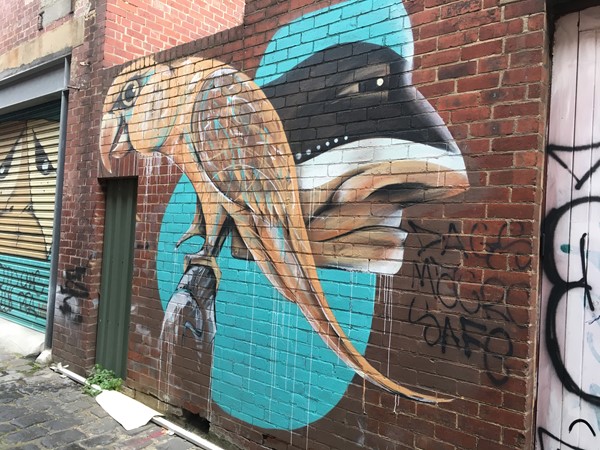 Collingwood Public and Street Art