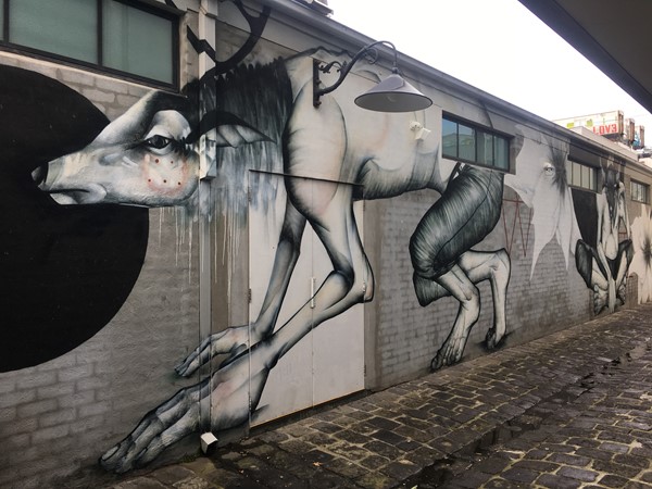 Collingwood Public and Street Art