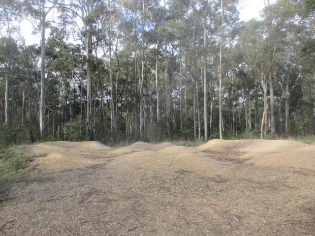 Colquhoun Forest Mountain Bike Park