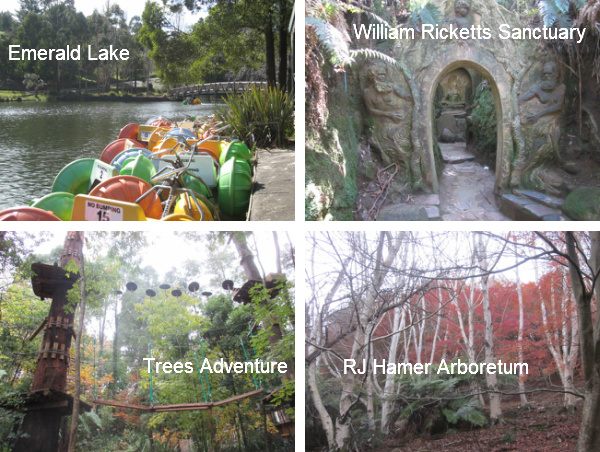 Family Activities in the Dandenong Ranges