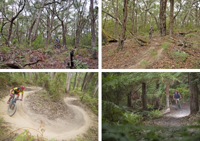 Forrest Mountain Bike Trails